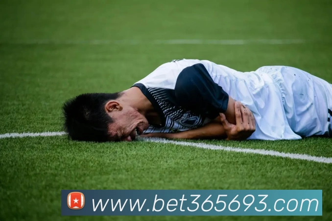 bet365中国官网服务体系